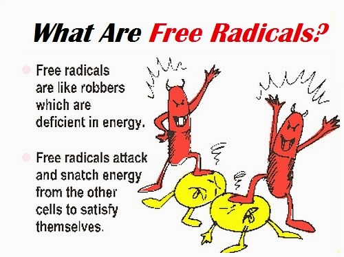 What Are Free Radicals