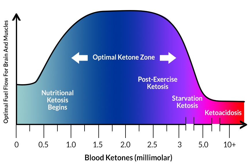 Blood Ketone & Glucose Effects
